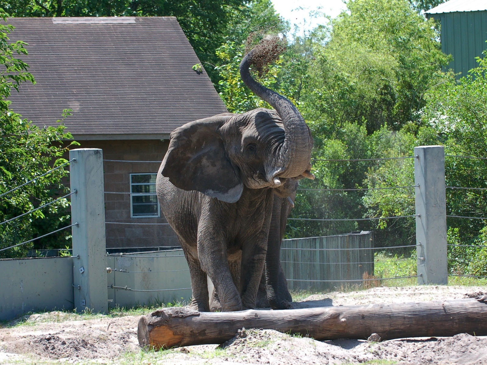 The Online Zoo Jacksonville Zoo